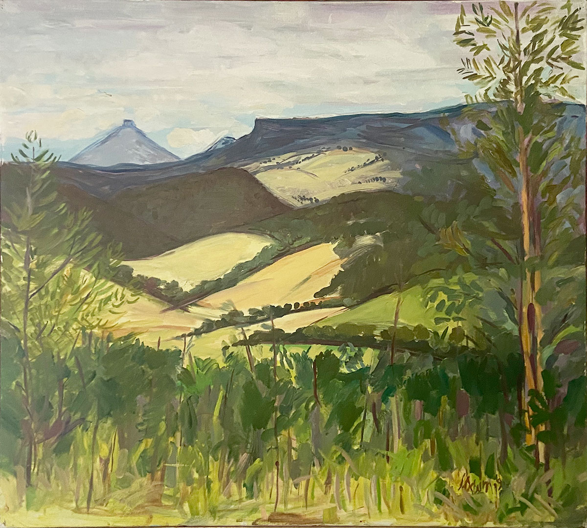 Hillview Through the Trees