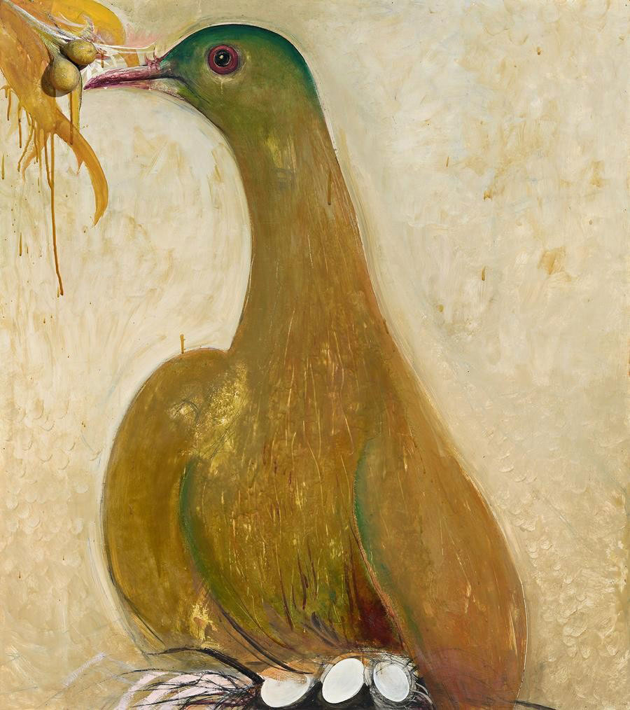 Orange Fruit Dove, Fiji